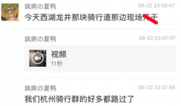 网友爆料吃瓜视频大全集,网友爆料吃瓜视频大全集，揭秘娱乐圈幕后真相