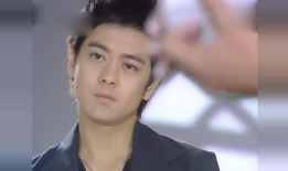 林志颖的电视剧,从青春偶像到成熟演员的蜕变之旅